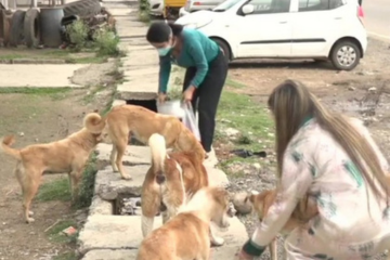 Best charities to donate to Animal Care